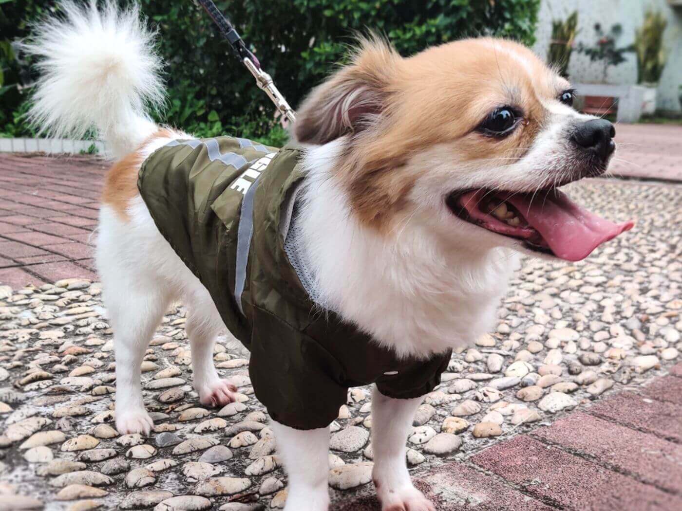 "Stay Safe and Stylish: A Guide to Reflective Raincoats and How to Choose the Perfect One"