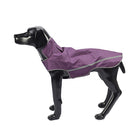 Pets Safety